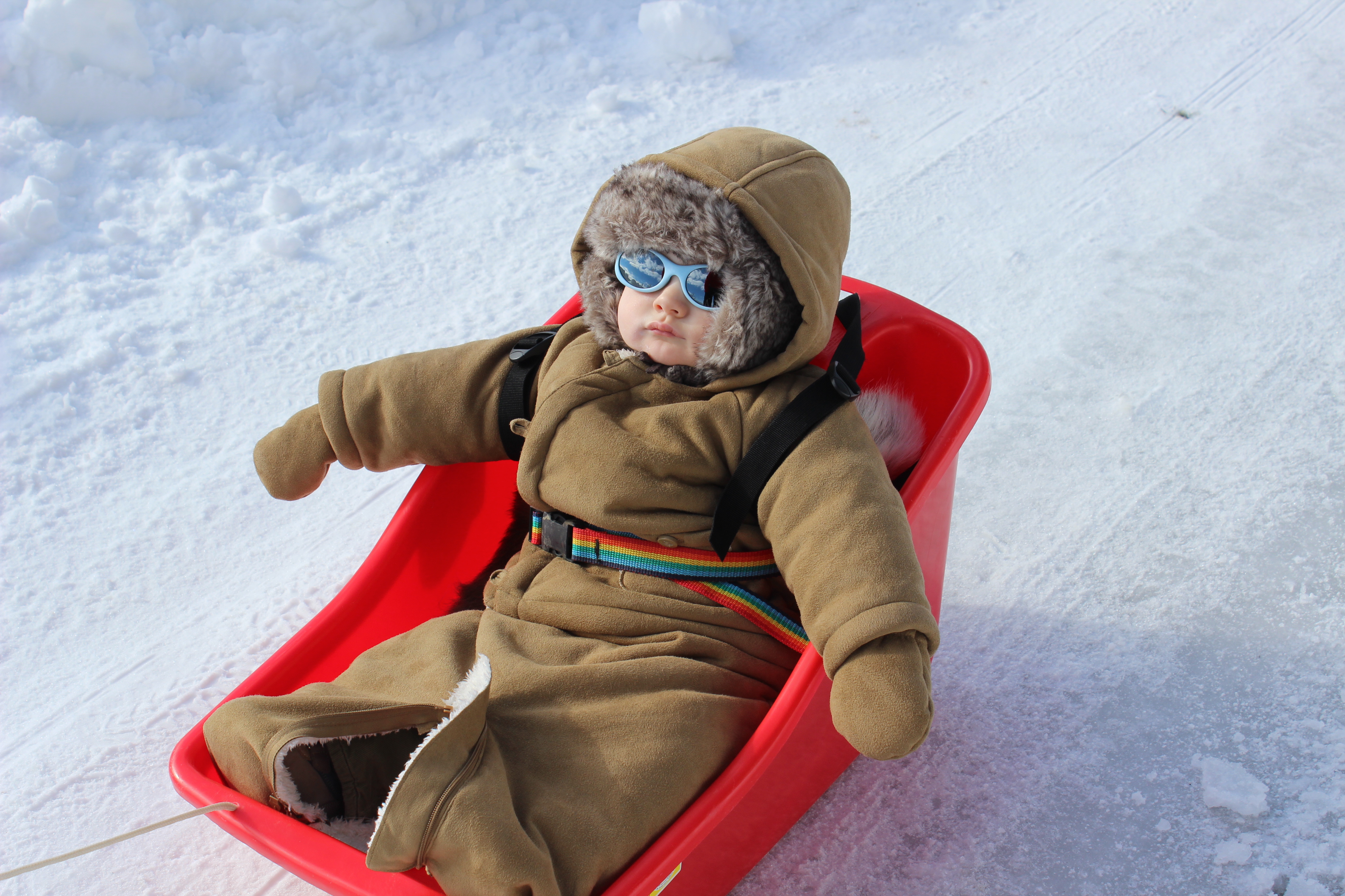 Équipement grand froid — Comment bien s'habiller pour une destination  nordique ?